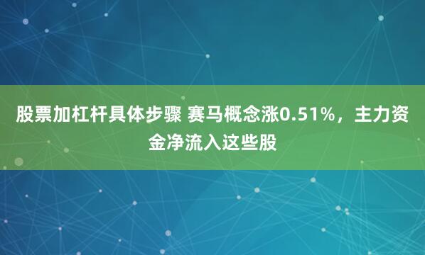 股票加杠杆具体步骤 赛马概念涨0.51%，主力资金净流入这些股