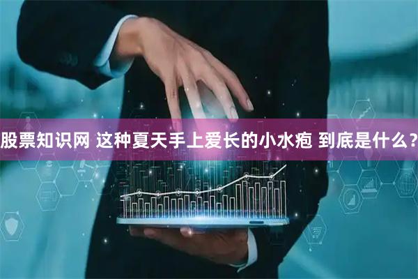 股票知识网 这种夏天手上爱长的小水疱 到底是什么？