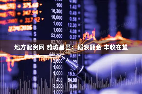 地方配资网 潍坊昌邑：稻浪翻金 丰收在望
